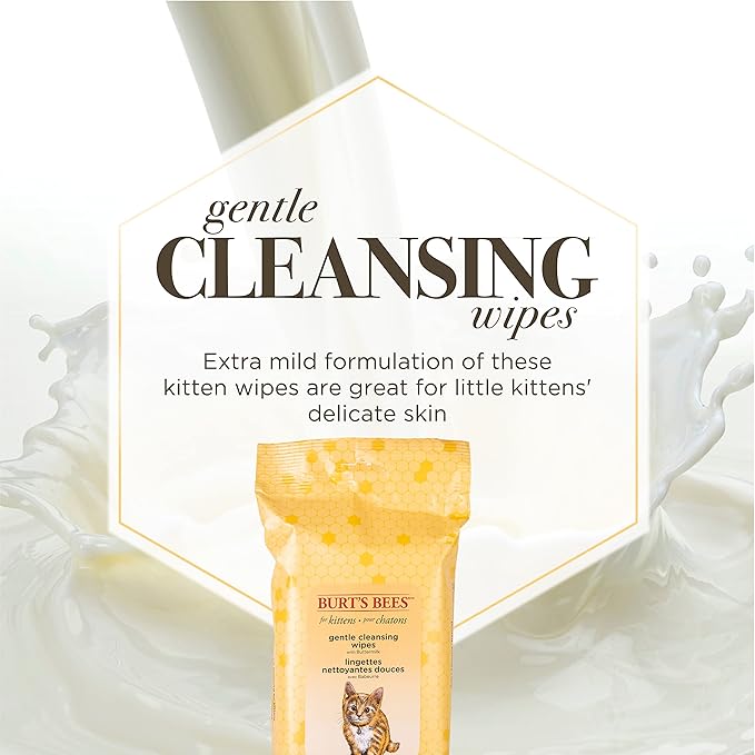 Burt's Bees for Pets Kitten Wipes with Buttermilk - Pet Wipes for Cats Waterless Bathing & Cleaning, Kitten Essentials, Gentle Cat Grooming Wipe for Face, Paws & Butt, 50 Count - 6 Pack