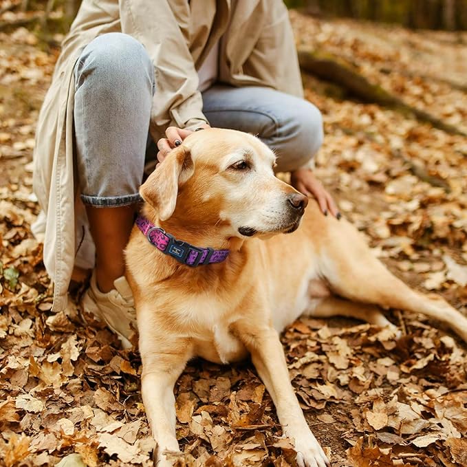 Roses&Poetry Dog Collars for Medium Dogs, Leopard Print Puppy Collar Adjustable Nylon Pet Collar Durable Reflective for Small Medium Large Dogs(Rose-Leopard M)