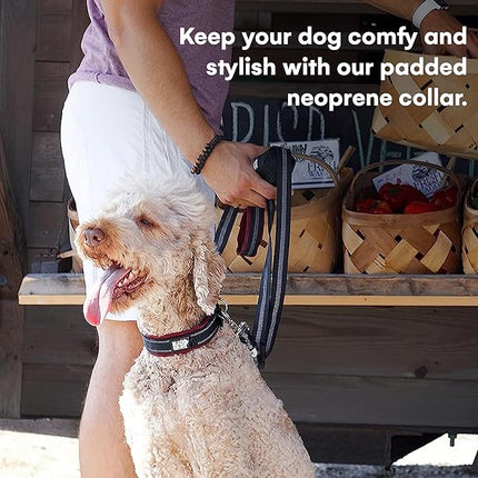 Black Rhino Dog Collar for Large Dogs - Adjustable Reflective Heavy Duty Dog Collars with Ultra-Soft Neoprene Padding - Weatherproof, Durable, and Comfortable for Active Dogs - Burgundy and Black