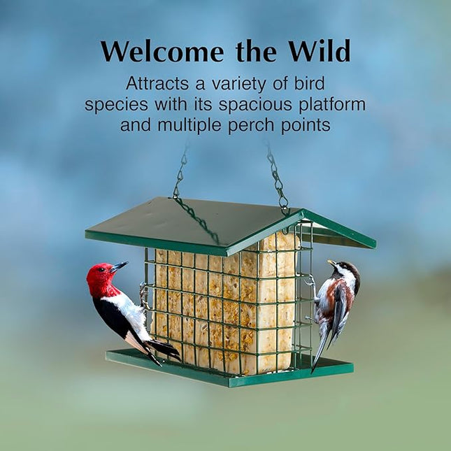 C&S EZ Fill Deluxe Suet and Snak Feeder with Roof & Platform, Suet Feeder for Wild Birds, Holds one 56 Ounce Suet Cake