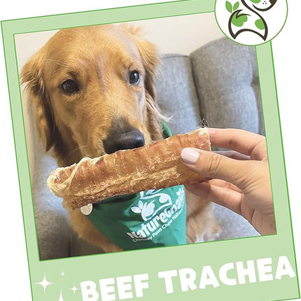 Nature Gnaws Beef Trachea Chews for Dogs 6" (6 Count) - Long Lasting Natural Crunchy Dog Chew Bones - Rawhide Free (Pack of 2)
