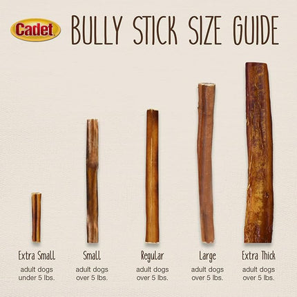 Cadet Bully Sticks for Extra-Small Dogs, All-Natural Beef Pizzle, Rawhide-Free Long-Lasting Dog Chews for Aggressive Chewers, 8 oz