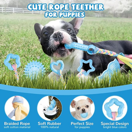 6 Pack Puppy Toys Cute Blue Puppy Chew Toys for Teething Small Breed Dog Chew Toy Interactive Pet Toy Set for Puppies Soft and Durable Small Breed Doggy Teething Ball
