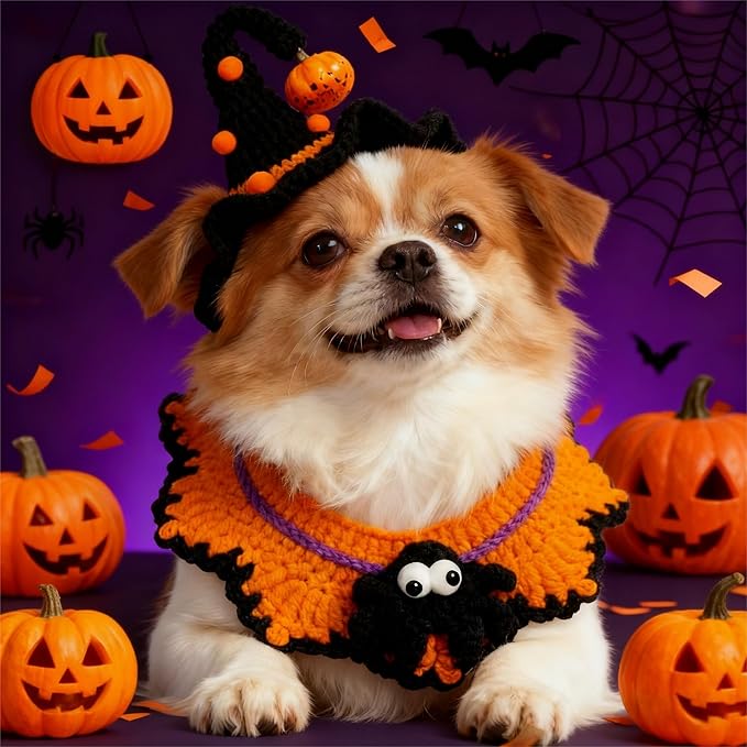 Hand-Knit Halloween Pet Costume-Spider & Black Witch Hat for Cats and Small Sized Dogs,Festive Halloween-Themed Cat Apparel,Comfortable and Breathable Dog Halloween Outfits,Cat Witch Costume