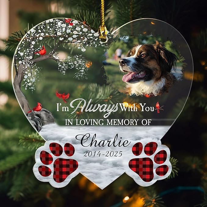 Pavo Customized Christmas Pet Photo Ornament with Text – Personalized Cat Gifts – Pet Memorial Gifts for Dogs Cats – Loss of Dog Sympathy Gift – Personalized Acrylic Ornaments 4-6 Inches