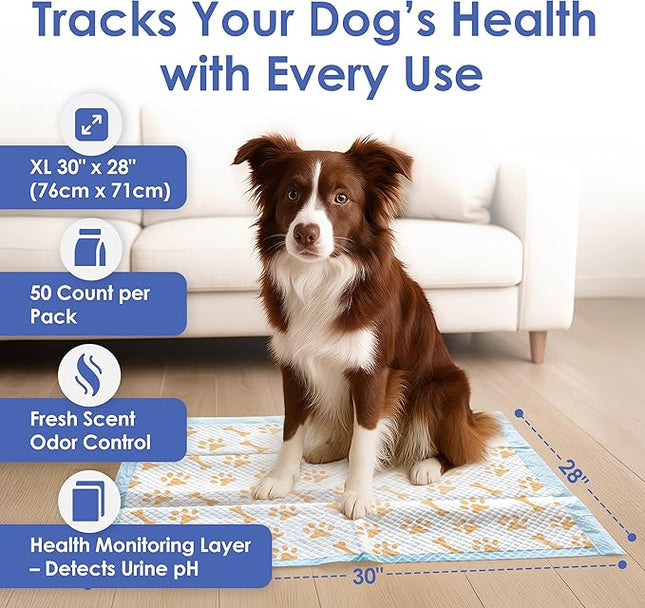 American Kennel Club Advanced Puppy Pads with Color-Changing Health+ Indicator and Ultra Absorbent Quick Dry Gel – 28''x30'' Leakproof Training Pads for Dogs – Fresh Scented – 50 Count, X-Large
