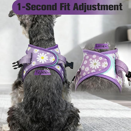 EXPAWLORER Small Dog Harness and Leash Set - Cute Spring Puppy Harness Leash Dog Collar with AirTag Holder Silicone Case, Soft Padded Step in Pet Vest Reflective for Outdoor Walking, Purple Daisy M