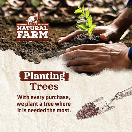 Natural Farm Bully Cheek Stick, 5-6-Inch (25-Pack)- Best Bully Stick Alternative, 100% Natural Beef Cheeks for Dogs- High Protein, Cleans Teeth Treats, Long Lasting Beef Chews for All Dog Sizes