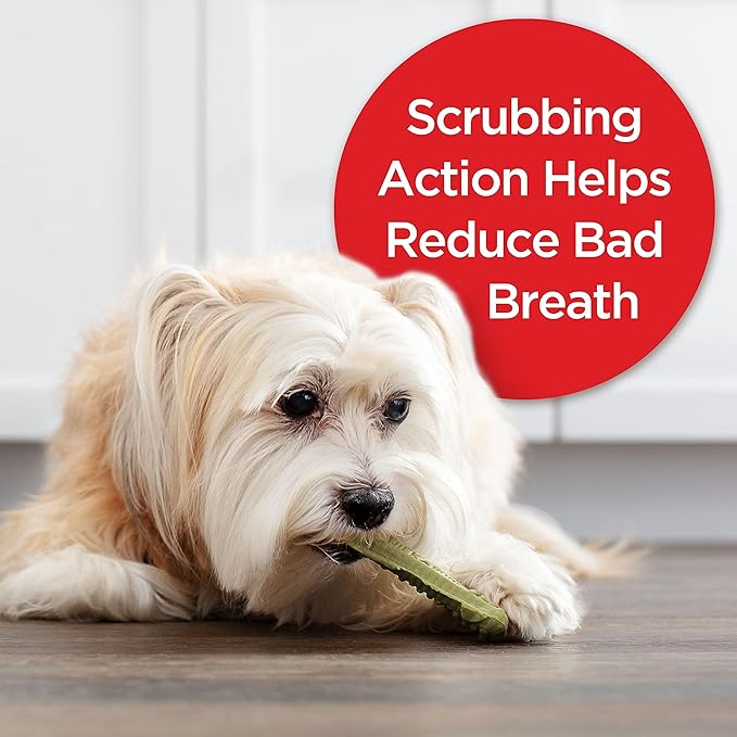 Milk-Bone Fresh Breath Brushing Chews, 48 Mini Daily Dental Dog Treats Scrubbing Action Helps Clean Teeth