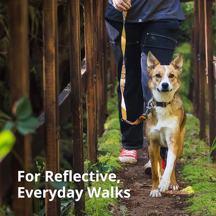 Ruffwear, Crag Dog Collar, Stylish Adventure Collar with Premium Reflective Design, Quick Release Buckle, Lightweight All-Day Comfort, Grassy Oxbow, 11"-14"