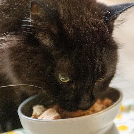 hotspot pets Freeze Dried Tuna Treats for Cats & Dogs - Made in USA, 1lb Value Bag, Single Ingredient, All Natural -Healthy, High Protein, Perfect for Training, Topper or Snack