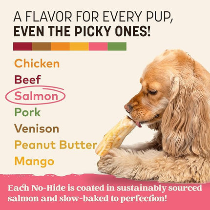 Earth Animal No Hide Chews - Long Lasting Rawhide Free Small Dog Chews Rolls, Salmon - 6 Count