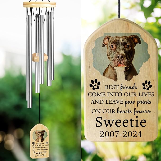 Pet Memorial Wind Chimes, Personalized Pet Memorial Wind Chime, Medium Size, Come into Our Lives