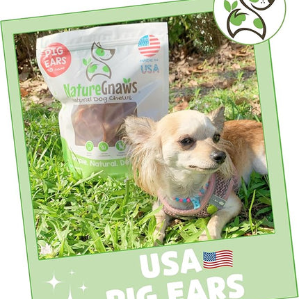 Nature Gnaws USA Pig Ears for Dogs (10 Count) - Thick Long Lasting for Aggressive Chewers and Large Dogs - Premium Natural Pork Dog Chew Bones - Rawhide Free