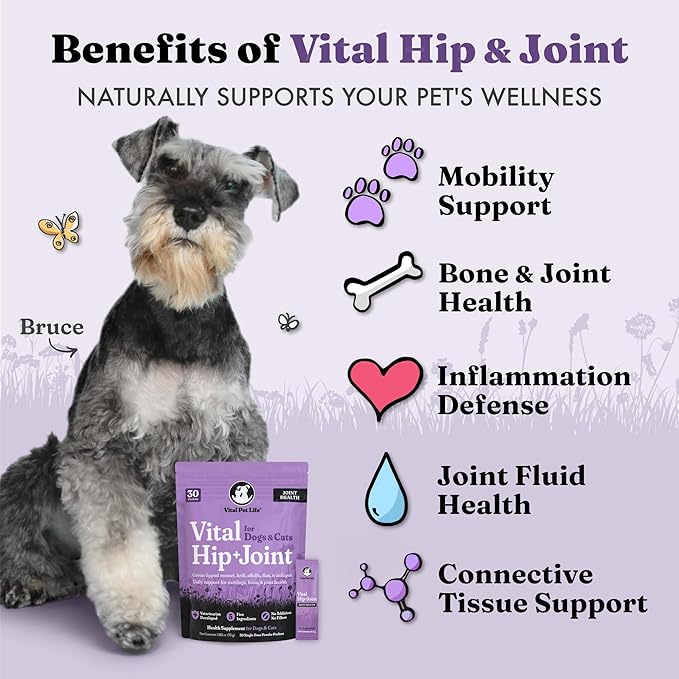 Vital Pet Life Green Lipped Mussel & Krill Powder, Hip & Joint Supplement for Dogs and Cats, Dog Joint Supplement, Mobility, Inflammation Defense, Collagen for Dogs, Veterinarian Developed, 30 packets