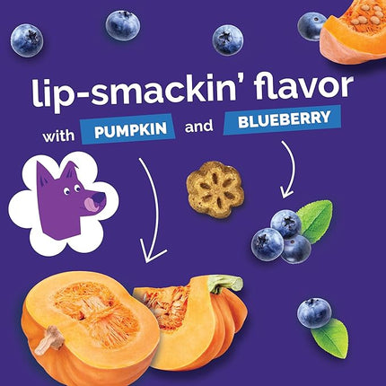 Fruitables Skinny Mini Dog Treats, Healthy Pumpkin Treat for Dogs, Low Calorie & Delicious, Puppy Training, No Wheat, Corn or Soy, Made in The USA, Pumpkin and Berry Flavor, 12oz