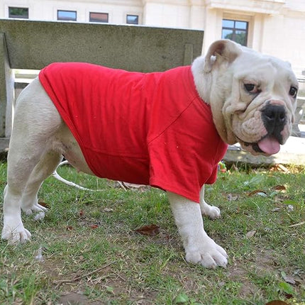 Lovelonglong Bulldog Clothes Dog Clothing Blank T-Shirt Tee Shirts for French Bulldog English Bulldog American Pit Bull Pugs 100% Cotton Skin Care Red B-S