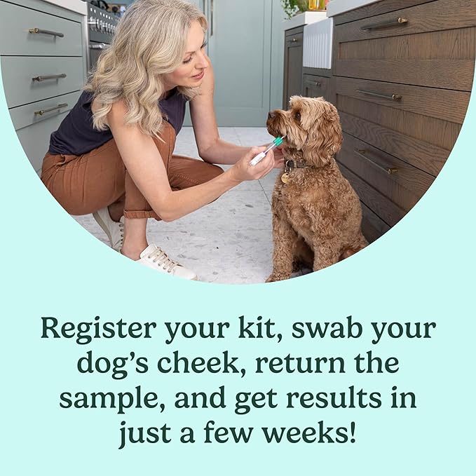 Ancestry Dog DNA Test: The Top-Selling DNA Consumer Brand, Breed Identification, Trait Insights, Health Report, Canine Genetics Analysis, Unique Pet Parent Gift, New Puppy Essentials