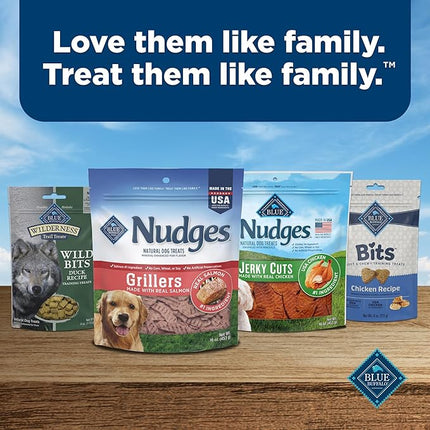 Blue Buffalo Nudges Grillers Natural Dog Treats, Made in The USA with Real Salmon, 16-oz. Bag