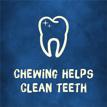 Purina Busy Bone Adult Dog Chew Bone Treats, Original - 6 ct. Pouch