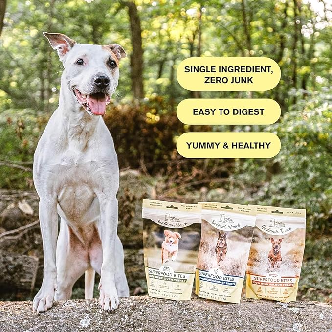Superfood Bite, Freeze-Dried Raw Dog Treats - Protein Rich, Train & Reward, Traceable Single Ingredient by Katherine Heigl (4 Ounce (Pack of 4) Beef Liver)