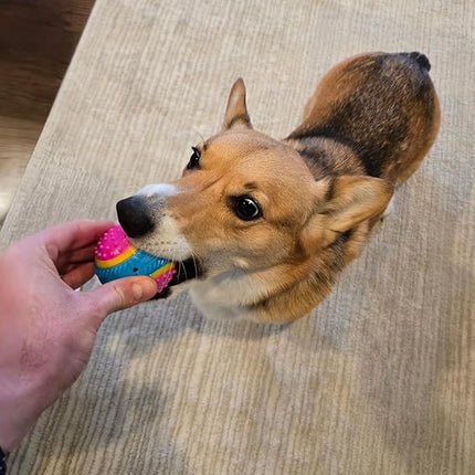 SPOT Sensory Ball for Soft Chewers - Stimulates All 5 Senses, Bell & Squeaker Sounds, Raised Nubs Clean Teeth, High Contrast Fetch Toy, Beef Scented, Durable TPR Rubber Ball, 2.5-inch