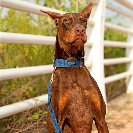 ARING PET Velvet Dog Collar and Leash Set, Soft Dog Collar and Leash, Adjustable Collars for Dogs