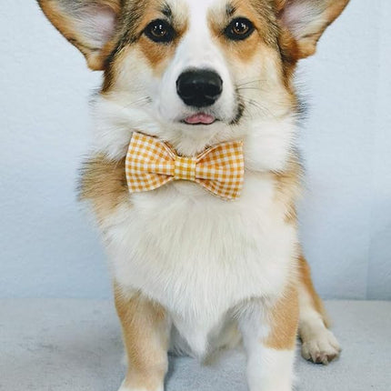 Lionet Paws Dog Collar with Bowtie, Durable Adjustable and Comfortable Collar for XX-Small Dogs and Cats, Neck 7-11in