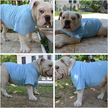 Lovelonglong Bulldog Clothes Dog Clothing Blank T-Shirt Tee Shirts for French Bulldog English Bulldog American Pit Bull Pugs 100% Cotton Skin Care Light-Blue B-M