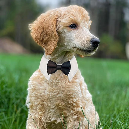 Dog Bowtie, KOOLMOX Tux Dog Collar for Weddings with Handcrafted Adjustable White Collar and Black Tie, Classic Neck Tie for Small to Medium Dogs Cats Puppies Valentine's Costumes