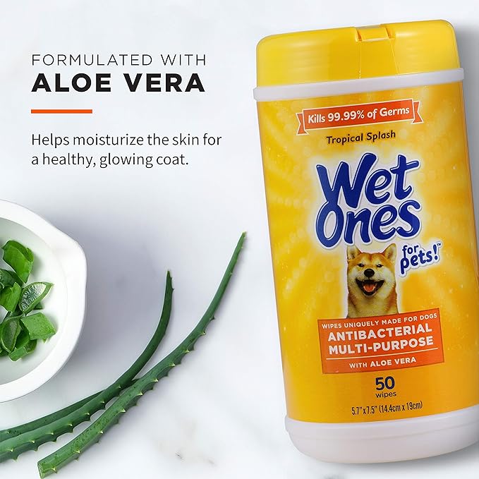 Wet Ones for Pets Multi-Purpose Dog Wipes With Aloe Vera | Dog Wipes For All Dogs in Tropical Splash, Wet Ones Wipes for Paws & All Purpose | 50 Ct Cannister Dog Wipes
