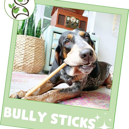 Nature Gnaws Bully Sticks for Dogs 11-12" (1Lb) - Mixed Thickness - Long Lasting for Aggressive Chewers and Large Dogs - Natural Beef Dog Chew Bones
