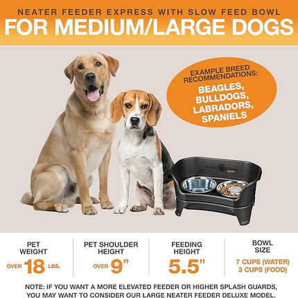 Neater Feeder - Express Model w/ Slow Feed Bowl - Mess-Proof Dog Bowls (M/L, Black) Made in USA – Elevated, No Spill, Non-Tip, Non-Slip, Raised Stainless Steel Food/Water Pet Bowls Aid Digestion