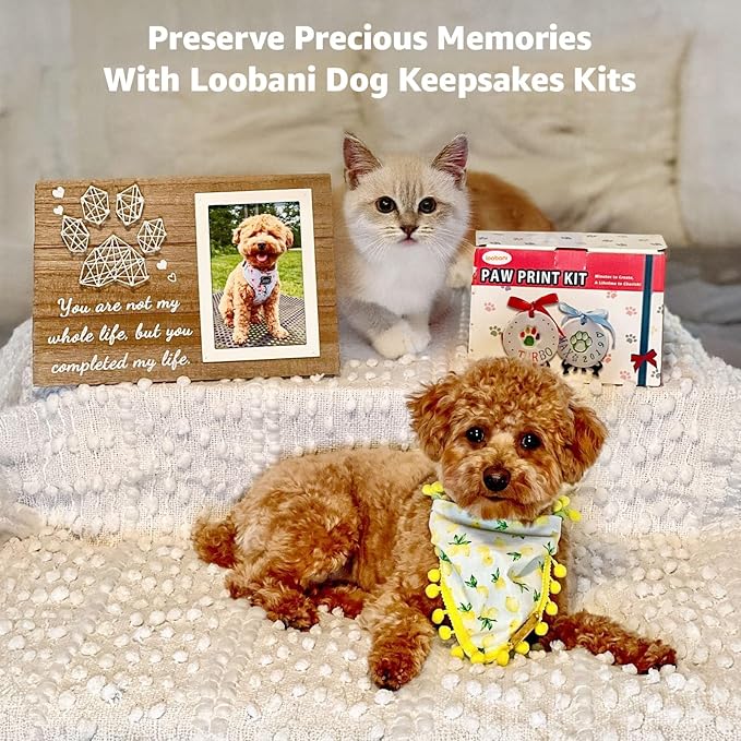 LOOBANI Dog Paw Print Ornaments Kit,DIY Pet Footprint Memorial Impression Keepsake for Puppy and Cats Owners with Light Clay & Deluxe Tool Set (Dog Paw Ornament Kit-2packs)