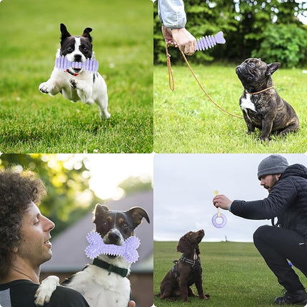 6 Pack Dog Chew Toys, Purple, Small Dog Teething Toys, Soft Durable Interactive Toys for Puppies