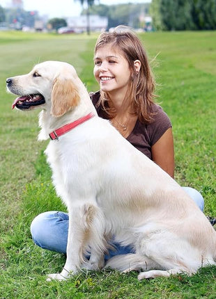 Roses&Poetry Pink Dog Collar for Female Dogs Reflective with Pink Gradient Color, Adjustable XSmall Puppy Collars Tiny for Small Medium Large Dogs (Pink Gradient-XS)