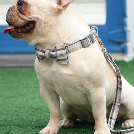 Lionet Paws Dog and Cat Collar with Bowtie Grid Collar Plastic Buckle Light Adjustable Collars for Small Medium Large Dogs