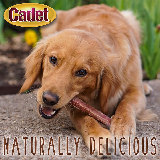 Cadet Bully Sticks for Large Dogs, All-Natural Beef Pizzle, Rawhide-Free Long-Lasting Dog Chews for Aggressive Chewers, 1 Count