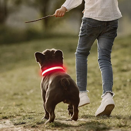 Light up Dog Collars- USB Rechargeable LED Dog Collar, Full Illuminated and Adjustable Dog Collar Light, Three Colors and Three Sizes for Small, Medium, Large Dogs (Medium, Pink-2)