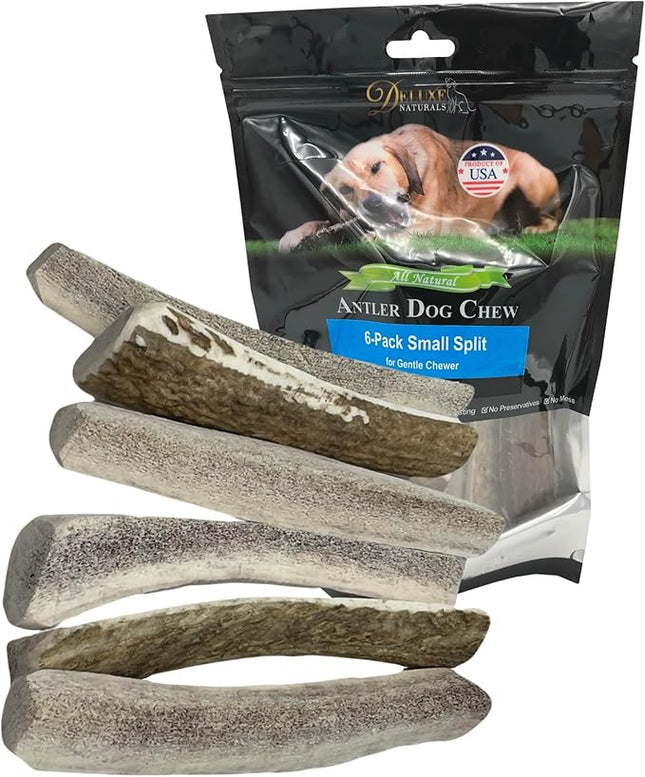 6-Pack Small Split Elk Antler Dog Chews (5 to 6.5+ in) – All Natural, Premium Grade A, Odor-Free, USA-Sourced – Long-Lasting Dental Treats for Toy and Small Dogs Under 15 lbs