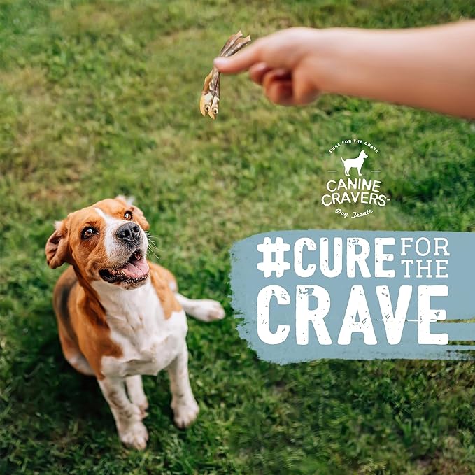 Canine Cravers Single Ingredient Dog Treats – Wild Caught Lake Smelt - Human Grade Air Dried Hypoallergenic Pet Food – Grain, Gluten, and Soy Free – 100% All Natural – 3 oz