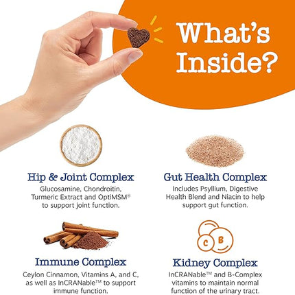 Zesty Paws Senior Dog Multivitamin Treats - Glucosamine for Dogs + Digestive Enzymes & Probiotics - Grain Free Dog Vitamins and Supplements for Skin & Coat + Immune Health Chicken - Advanced - 90ct