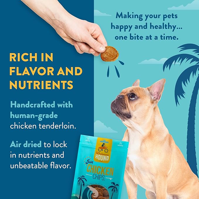 Chicken Chips – Single Ingredient Dog Treats, All Natural & Healthy Training Snacks for Small, Medium & Large Breeds, Puppies – High Protein, Made in USA 16oz