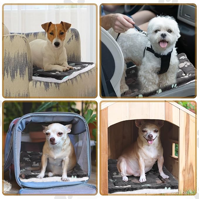 4 Pack Ultra Soft Dog Cat Bed Mat with Cute Prints Reversible Fleece Dog Crate Kennel Pad Cozy Washable Thickened Hamster Guinea Pig Pet Bed Mat for Small Animals(13 x 19 Inches,Black)