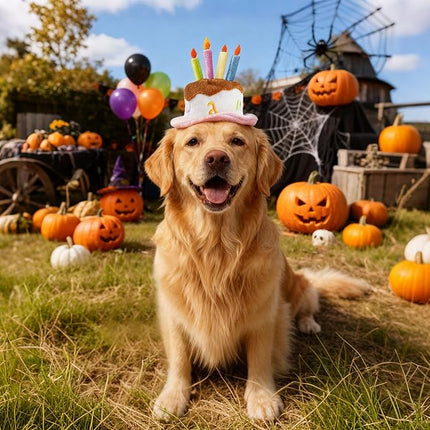 LESYPET Dog Cat Birthday Hat, Cute Birthday Cake Hat with 4 Color Candles for Cats Small Dogs, Pet Birthday Supplies Party Apparel Accessory, Size S