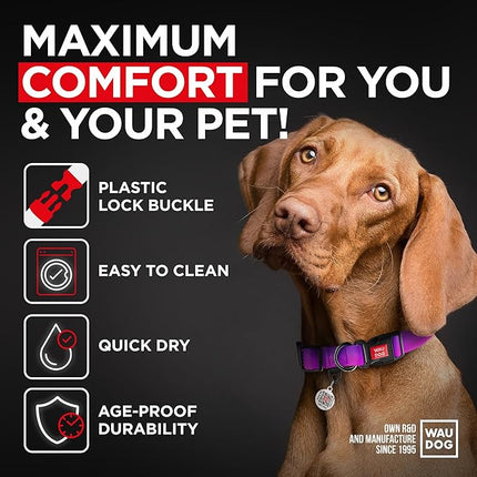 Dog Collar Nylon Dog Collar with Air Holder - Adjustable for Large Dogs, Small & Medium Dogs - Puppy Collars for Large Breed Dogs - Boy & Girl Collars