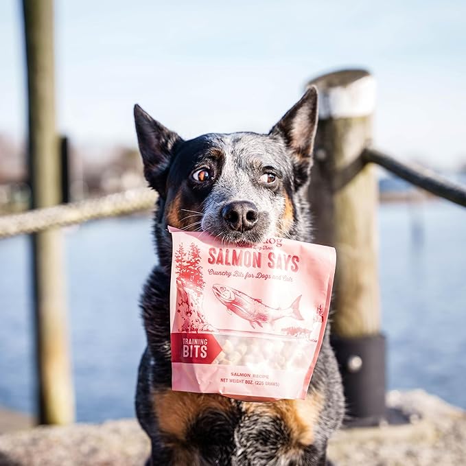 Polkadog Salmon Says Training Bits - Omega-3 Rich, Low Fat Healthy Dog Treat - Digestible, Vitamin & Mineral Packed Dog Snacks - Crunchy 3-Ingredient Treat, Ideal for Dogs with Allergies - 7oz