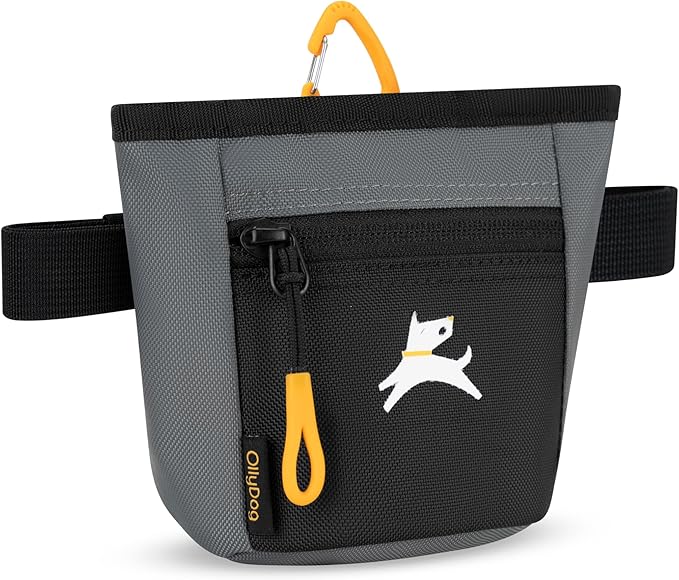OllyDog Goodie Treat Bag, Dog Treat Pouch, Waist Belt Clip for Hands-Free Training, Magnetic Closure, Dog Training and Behavior Aids, Three Ways to Wear (Castle Rock)