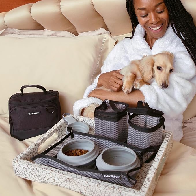 Small 7-Piece Bistro Box Dog Food Travel Kit, 6-Cup Kibble Storage, 2 Silicone Bowls, Mat & Scoop - Premium Portable Pet Food Kit for Weekends, Overnights, Daycare & Camping, Graphite