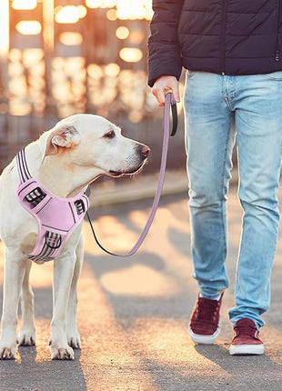 BUMBIN Dog Harness for Large Dogs, No Pull Adjustable No Choke Pet Vest with Dog Leash Fit Smart Reflective Pet Walking Harness for Training Easy Control Soft Handle Pink XL